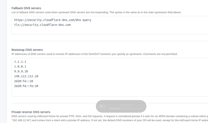 Fallback-DNS-servers