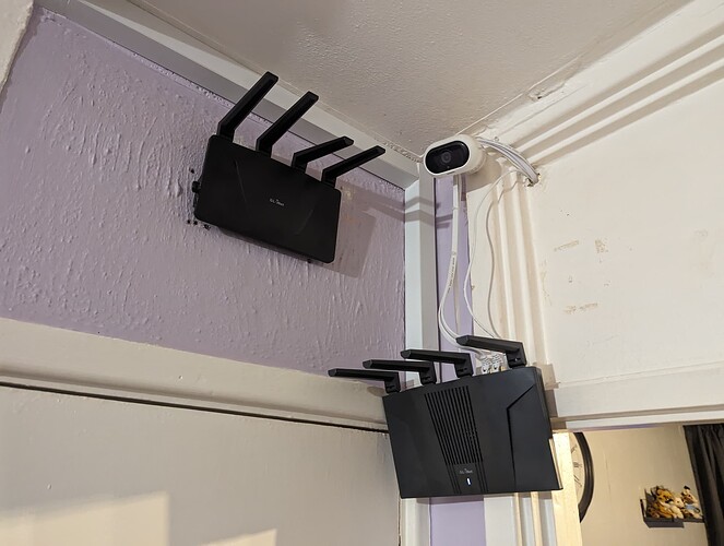 PXL_20240315_182825614