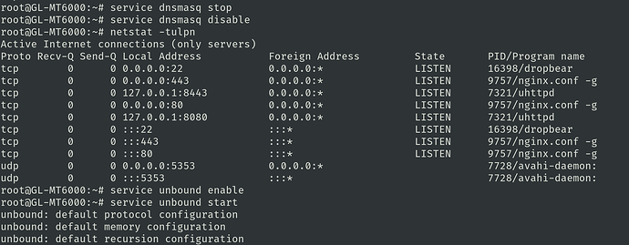 netstat_dnsmasq_disabled
