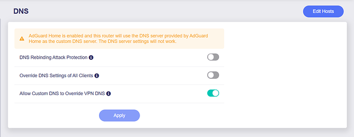 Network DNS