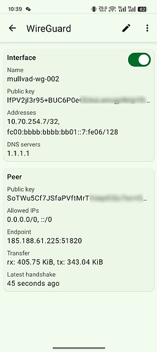 Bruce_2025-09-02_10-55-02