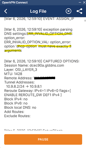 ovpn_invalid_dns_option_error