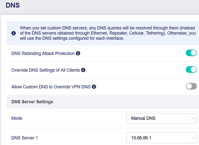 manual_dns